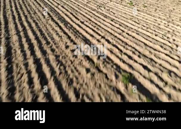 Dry draw Stock Videos & Footage - HD and 4K Video Clips - Alamy