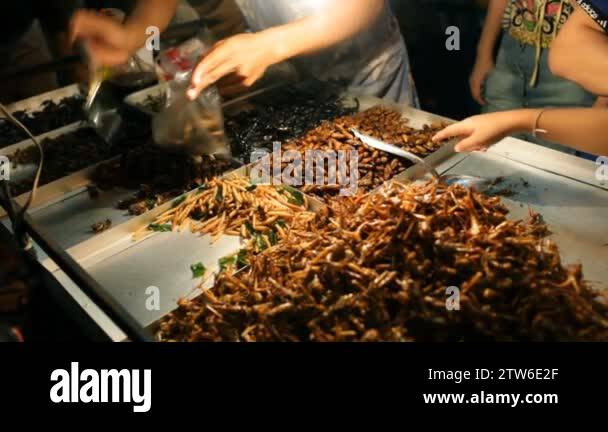 Grilled Insect Grilled insects Stock Videos & Footage - HD and 4K Video Clips - Alamy