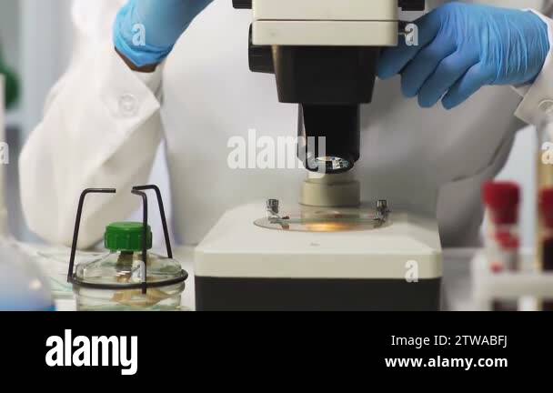 Genetic testing lab Stock Videos & Footage - HD and 4K Video Clips - Alamy