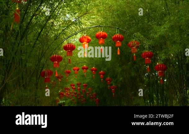 Rows of traditional chinese style red lanterns hanging on bamboo tree ...