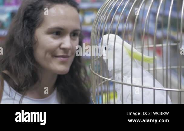 Image showcasing Cockatoo cage Stock Videos & Footage - HD and 4K Video Clips - Alamy