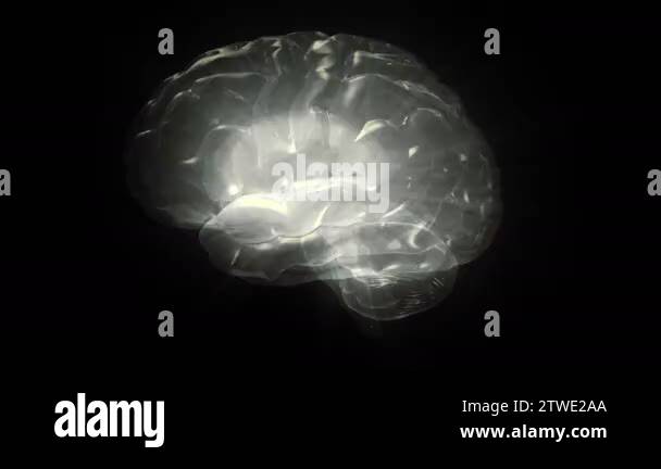 Cyclically rotating computer model of the human brain. Animation with ...