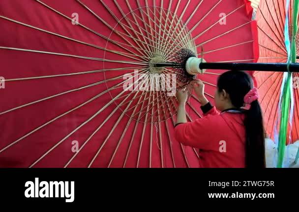 Bamboo ribs Stock Videos & Footage - HD and 4K Video Clips - Alamy