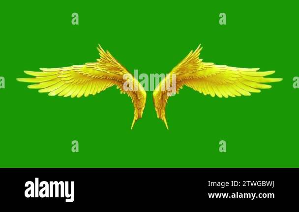 Wing Flapping Animation Flapping Gold Wings loop 3D Renderings Animations Stock Video Footage ...