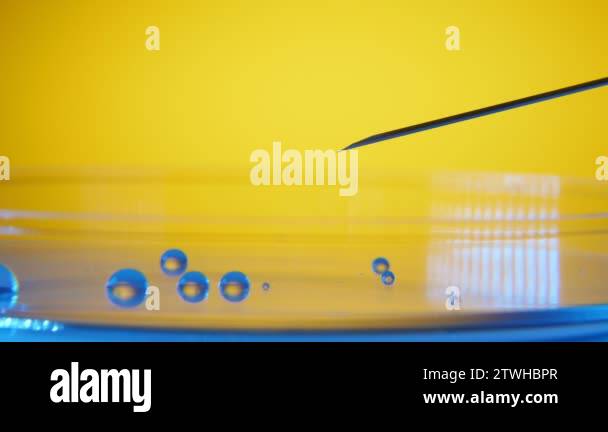 Tiny dribs of water fall from a needle and making a small pool in a lab ...