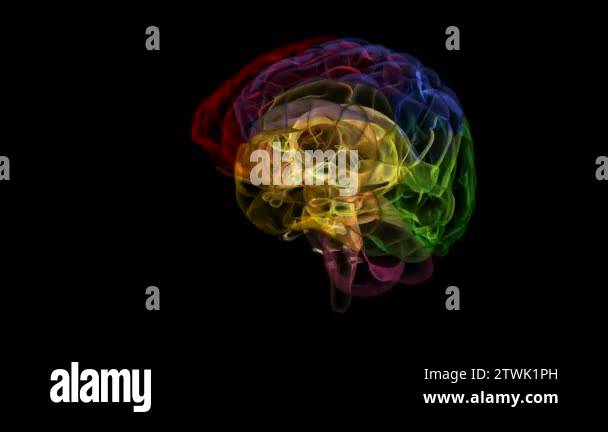 Looping Brain Brain xray Stock Videos & Footage - HD and 4K Video Clips - Alamy