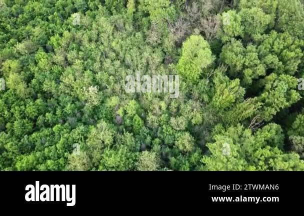 Ecological environment beautiful environment Stock Videos & Footage ...