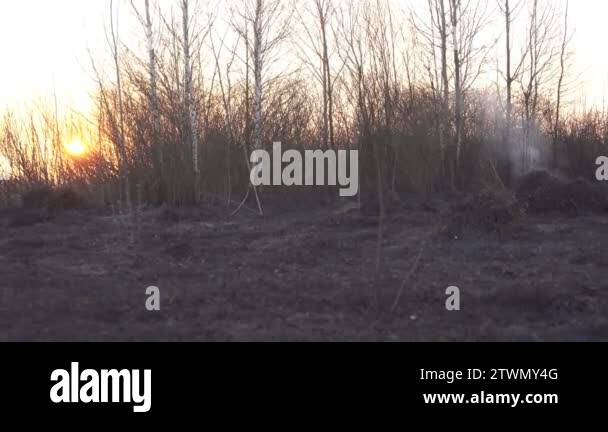 Consequences after extinguishing a fire on a sunset background, black ...