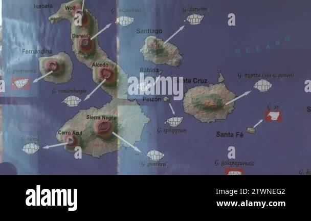 Map of the islands Stock Videos & Footage - HD and 4K Video Clips - Alamy