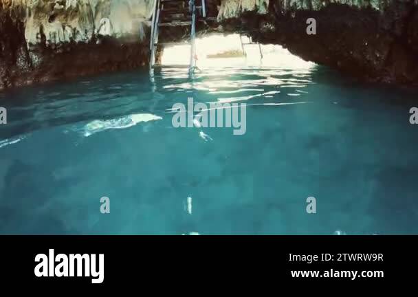 Cave nature south east asia Stock Videos & Footage - HD and 4K Video ...