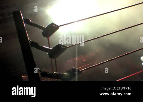 Pro Wrestling Ring Ropes & Corner Turnbuckle Silhouette Illuminated ...