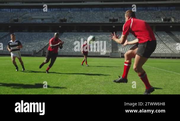 Side view of diverse rugby players playing rugby match in stadium. They ...
