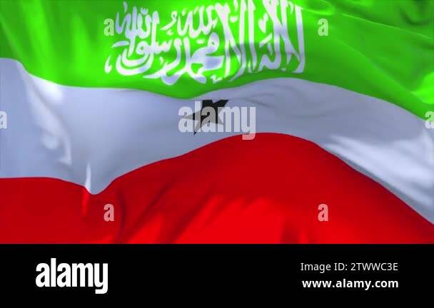 134. Somaliland Flag Waving in Wind Continuous Seamless Loop Background ...