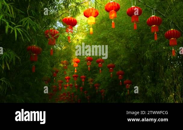 Rows of traditional chinese style red lanterns hanging on bamboo tree ...
