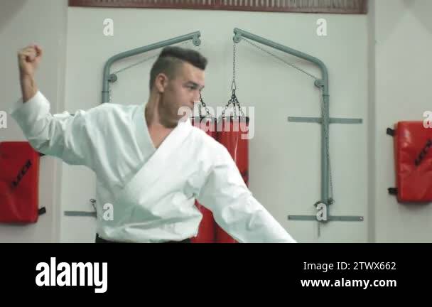 Goju ryu karate Stock Videos & Footage - HD and 4K Video Clips - Alamy