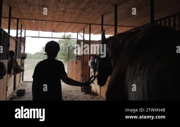 Horse stables team Stock Videos & Footage - HD and 4K Video Clips - Alamy