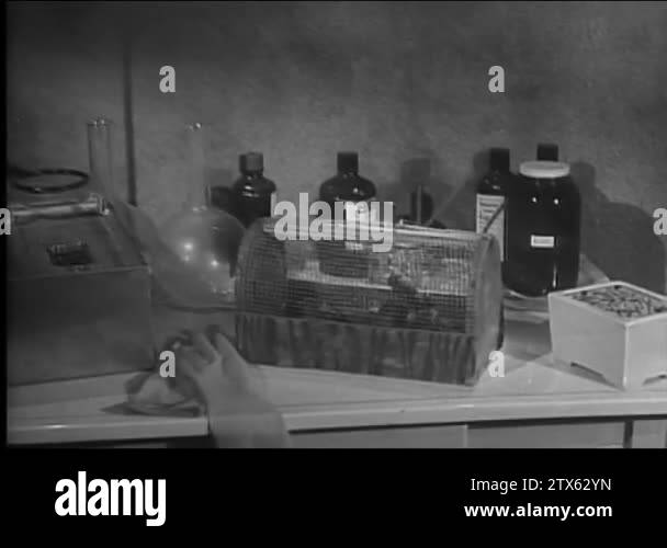 1950s research lab Stock Videos & Footage - HD and 4K Video Clips - Alamy