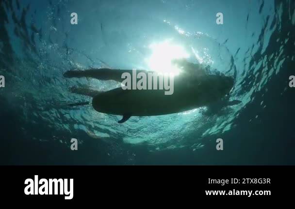 Clear positioning Stock Videos & Footage - HD and 4K Video Clips - Alamy