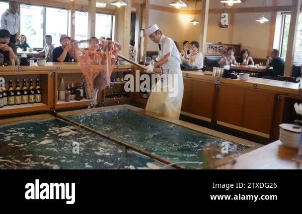 Kochi fish japan Stock Videos & Footage - HD and 4K Video Clips - Alamy