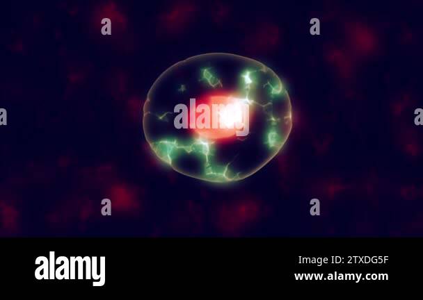 Cells divide under microscope. Mitosis process of cell division Stock ...