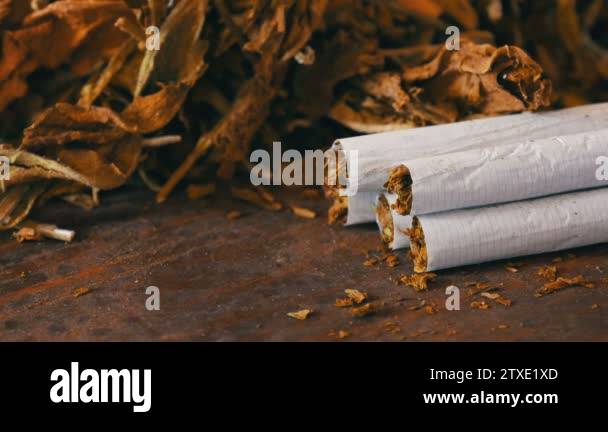 Home-made cigarettes or roll-ups are on the table next to big leaves of dry  tobacco Stock Video Footage