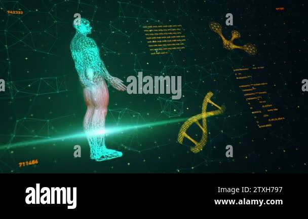 Background with animation of abstract interface. Human body, DNA ...