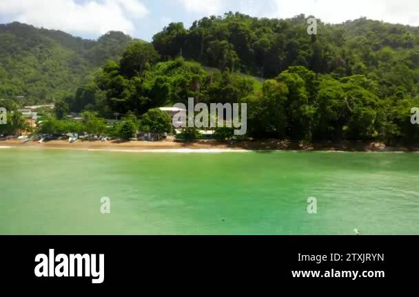 Panoramic aerial view of palm trees, blue lagoon, white sandy beach in ...