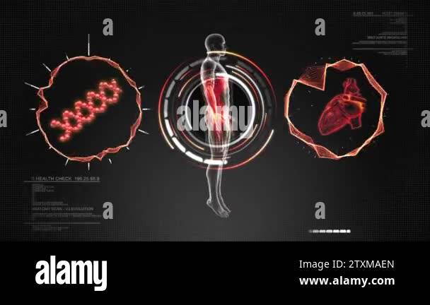 Dna Body Scan Human Body Anatomy scan with Heart and DNA - Animation LOOP Stock Video ...