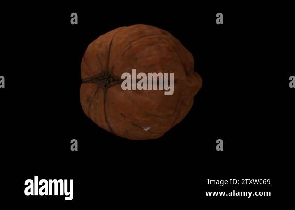 Realistic render of a rotating walnut on black background. The video is ...