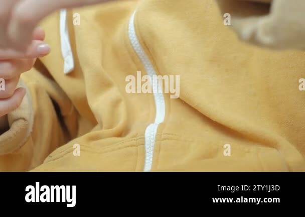 Rat in clothes Stock Videos & Footage - HD and 4K Video Clips - Alamy
