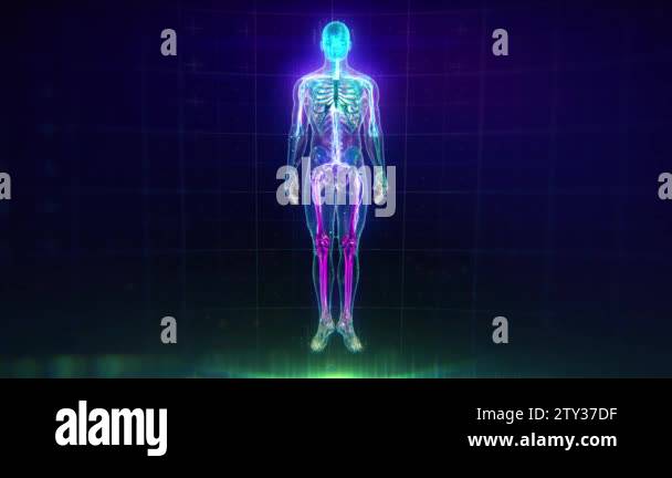 Organs veins Stock Videos & Footage - HD and 4K Video Clips - Alamy
