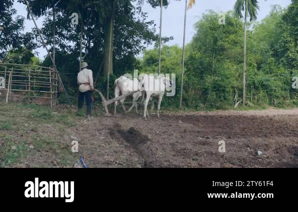 Manual Ploughing Stock Videos Footage Hd And 4k Video Clips Alamy