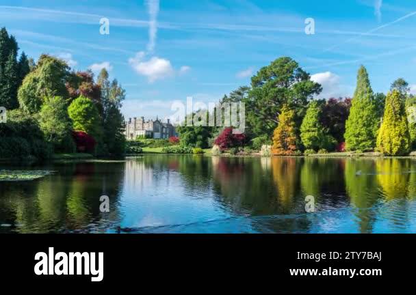 Garden pond green water uk Stock Videos & Footage - HD and 4K Video ...