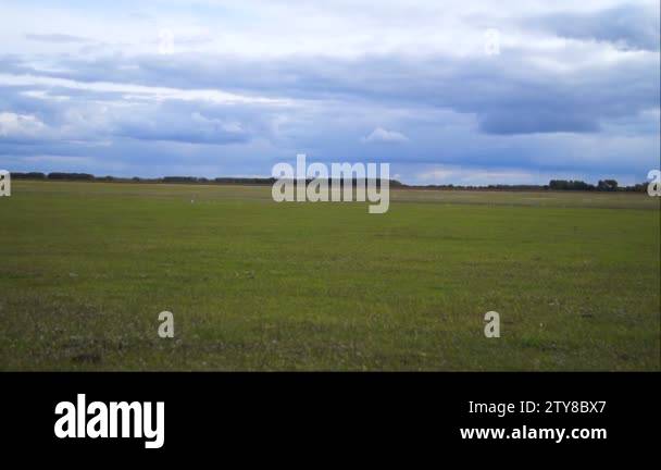Hare and hounds Stock Videos & Footage - HD and 4K Video Clips - Alamy