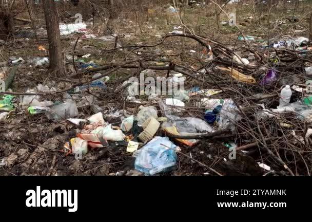 Rotting trash Stock Videos & Footage - HD and 4K Video Clips - Alamy