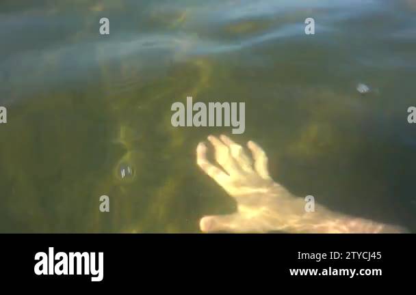 Underwater Refraction Stock Videos Footage Hd And 4k Video Clips