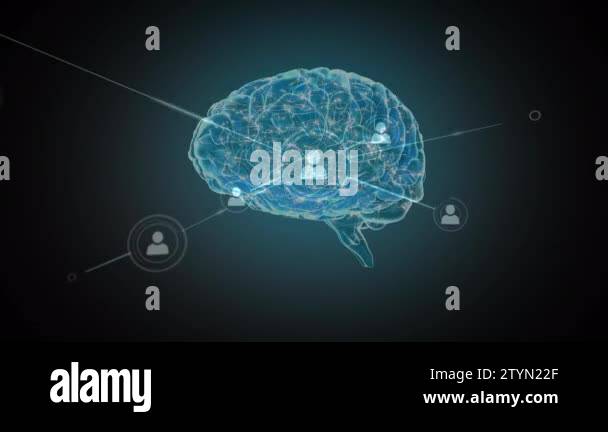 Animation human digital brain connected Stock Videos & Footage - HD and ...