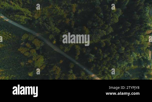 Drone footage of lungs of the planet that is to say green majestic ...
