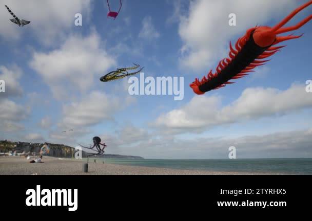 Dieppe kite festival Stock Videos & Footage - HD and 4K Video Clips - Alamy