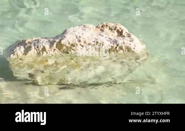 Partially transparent Stock Videos & Footage - HD and 4K Video Clips ...