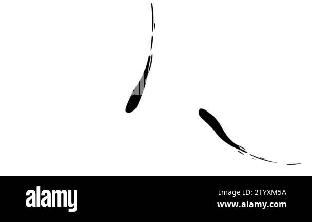 Two liquid ink blobs . Liquid motion effect Stock Video Footage - Alamy