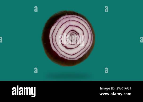 Cross section through onion Stock Videos & Footage - HD and 4K Video ...