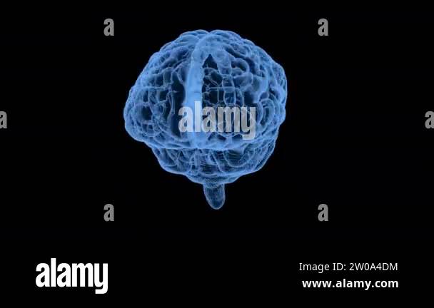 Alzheimers brain scan illustration Stock Videos & Footage - HD and 4K ...