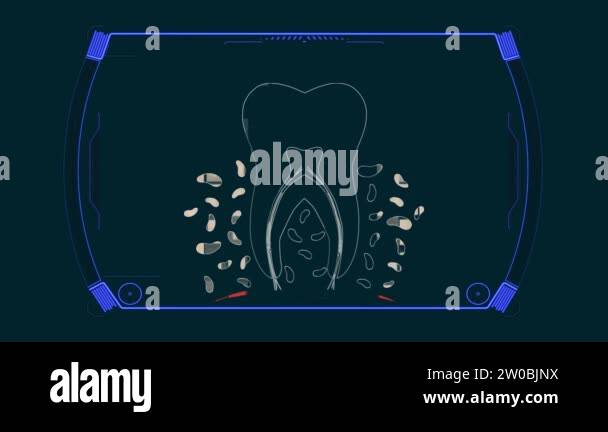 Diagram of human anatomy Stock Videos & Footage - HD and 4K Video Clips ...