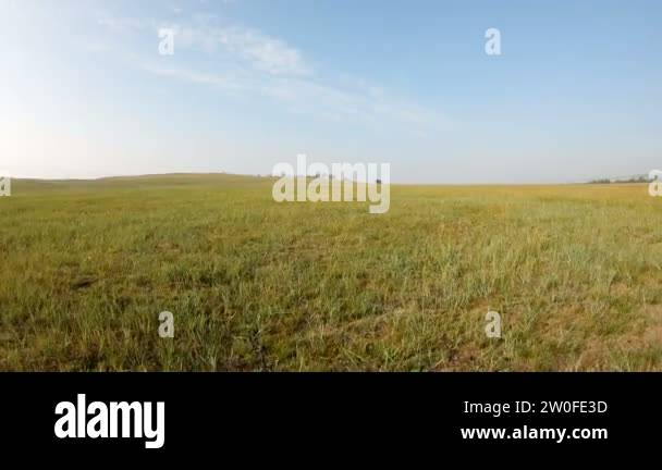 Walk In Field Walk across the field Stock Videos & Footage - HD and 4K Video Clips ...