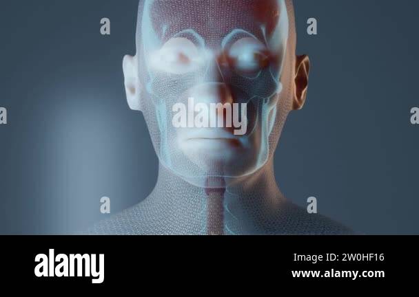 Anatomy of the body Stock Videos & Footage - HD and 4K Video Clips - Alamy