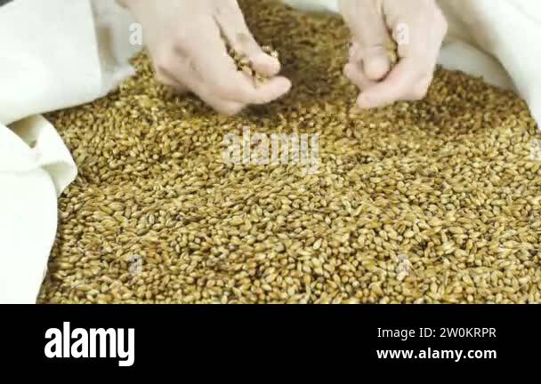 Caramel malt Stock Videos & Footage - HD and 4K Video Clips - Alamy