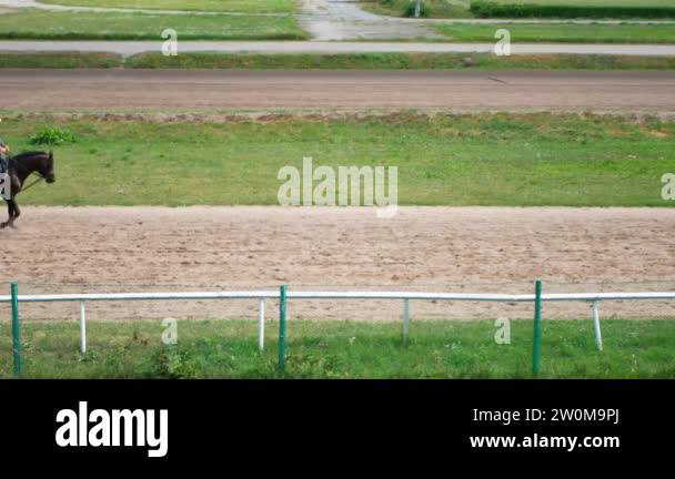 man riding a horse gallop gracefully on a race track or farm. dressage ...