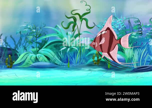 Pink Scalare Angelfish swims in an aquarium. Handmade animation, looped ...