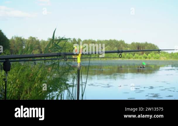 https://c8.alamy.com/comp/2w13575/fishing-rods-on-the-lake-in-summer-day-professional-fishing-rods-waiting-for-bites-on-water-river-2w13575.jpg